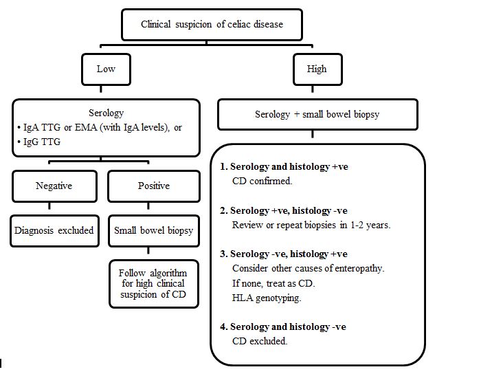 1 IgA A TTG EMA ve ve CD 1-iga-a-ttg-ema-ve-ve-cd